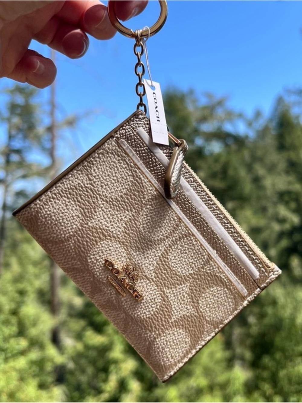 COACH Mini Skinny ID Case Cardholder Wallet & Keychain NWT CW966